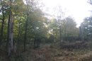 Bois de Russ à l'ouest de Muckenbach